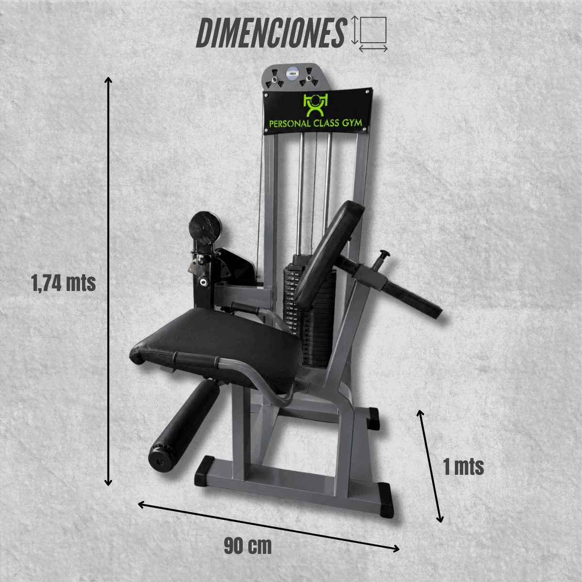 Sillón de Cuádriceps a Lingotes